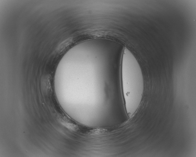 X0000077370128200610201024