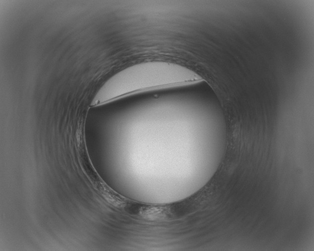 X0000077370129200610201024