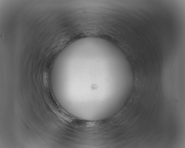 X0000077370130200610201024