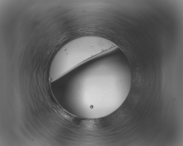 X0000077370131200610201024