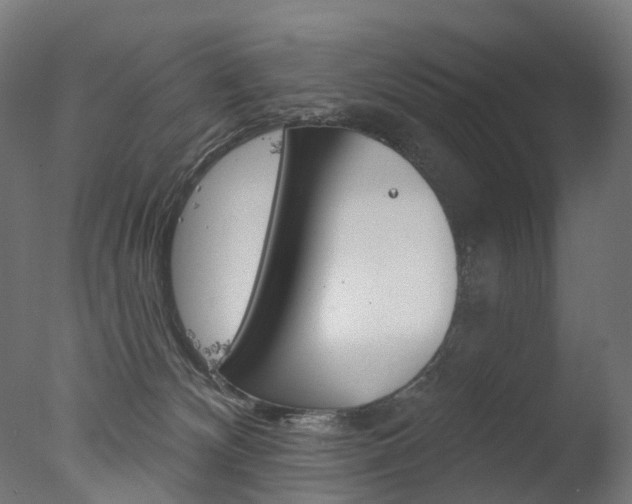 X0000077370132200610201024