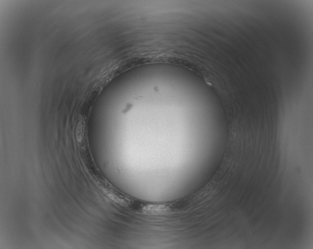 X0000077370133200610201024