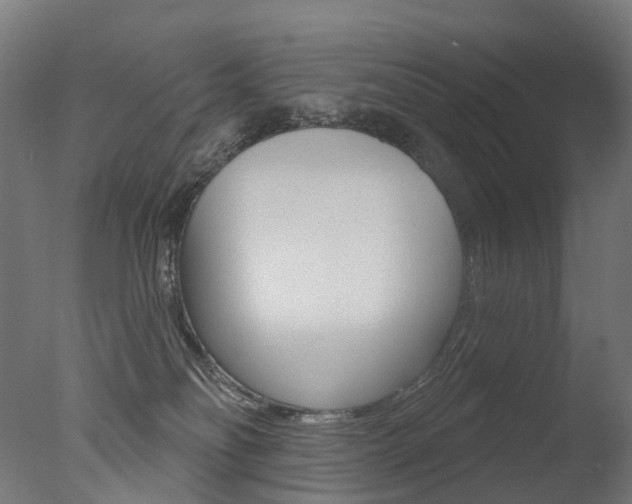 X0000077370134200610201024