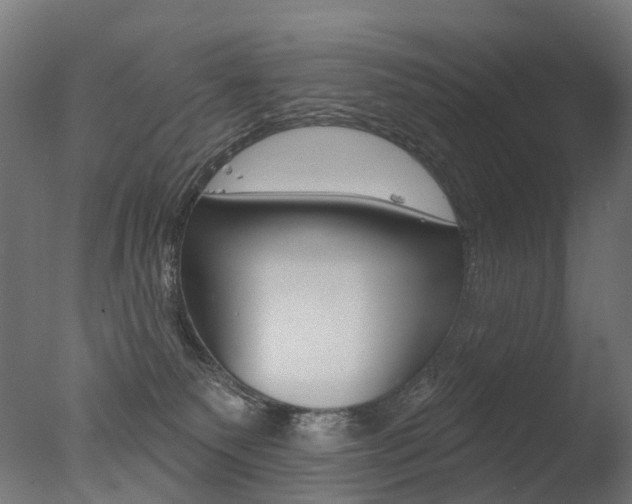 X0000077370135200610201024