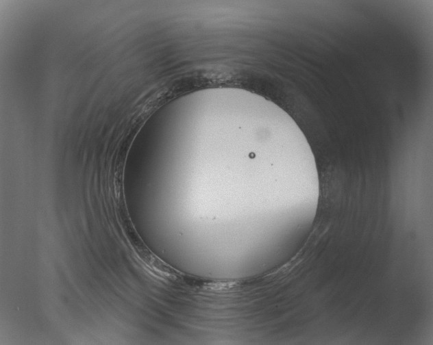 X0000077370136200610201024