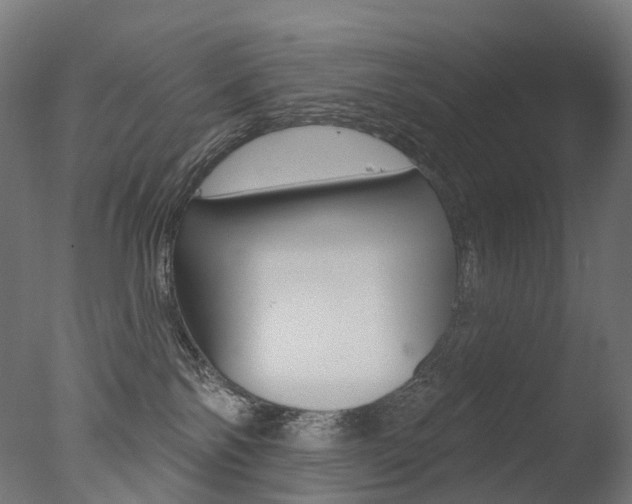 X0000077370138200610201024