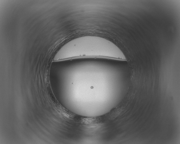 X0000077370139200610201024