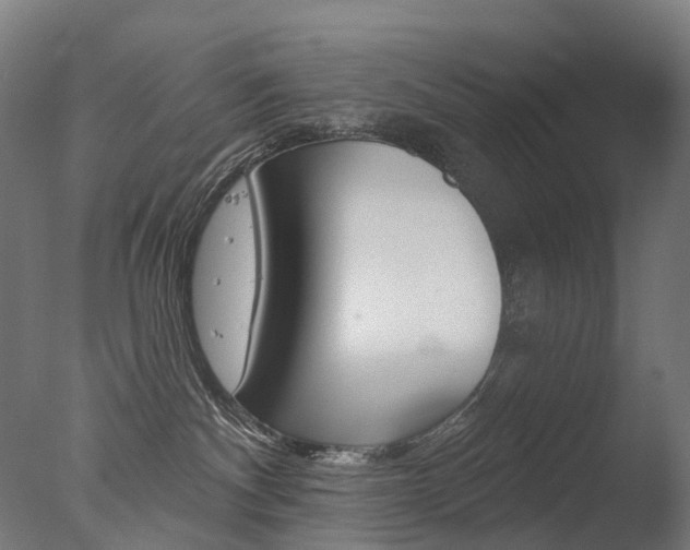 X0000077370140200610201024