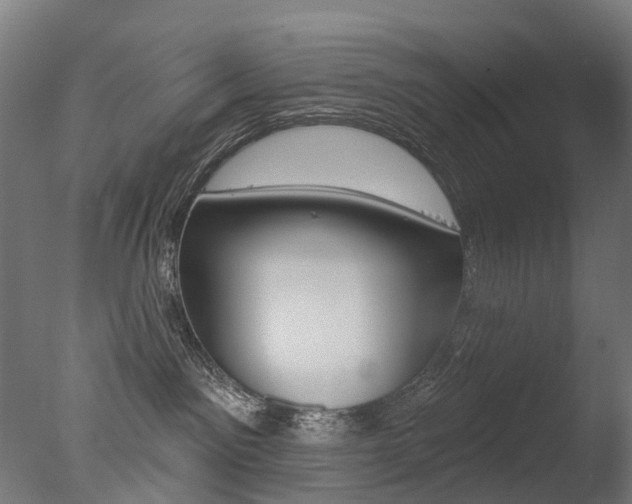 X0000077370141200610201024