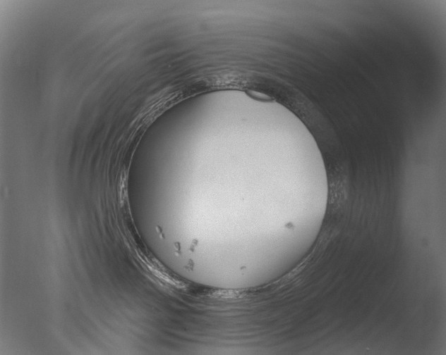 X0000077370142200610201024