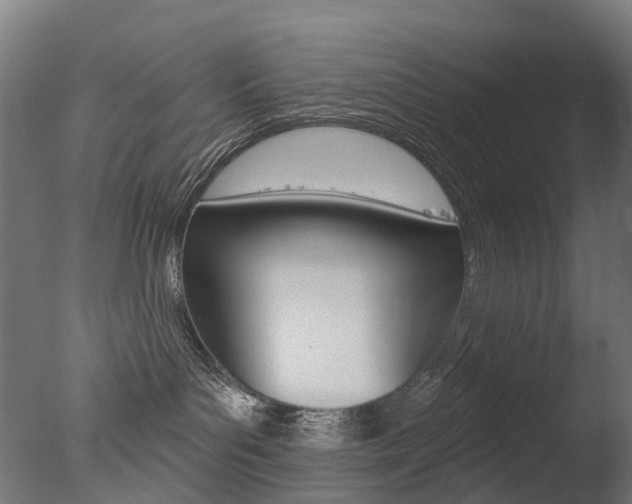 X0000077370143200610201024