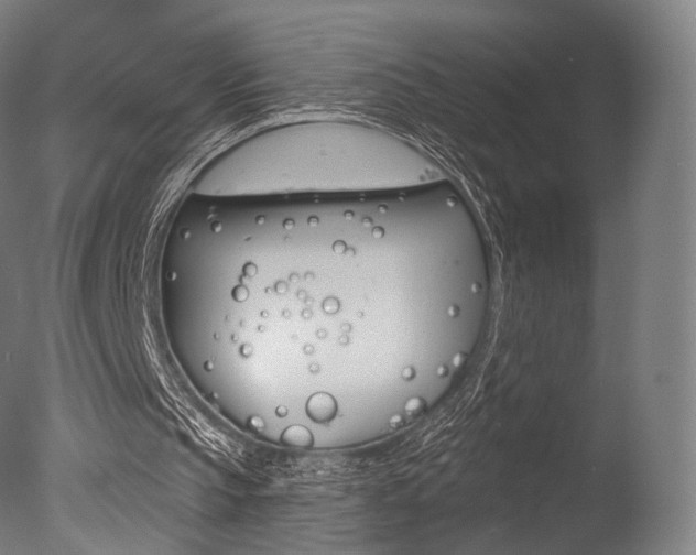 X0000077370145200610201023