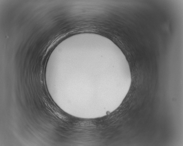 X0000077370146200610201023