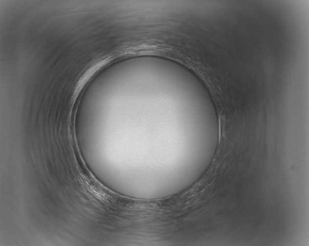 X0000077370147200610201023