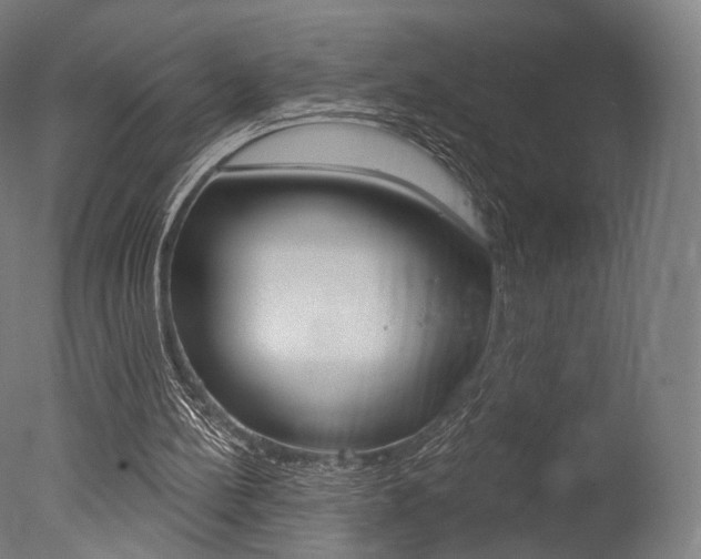 X0000077370148200610201023