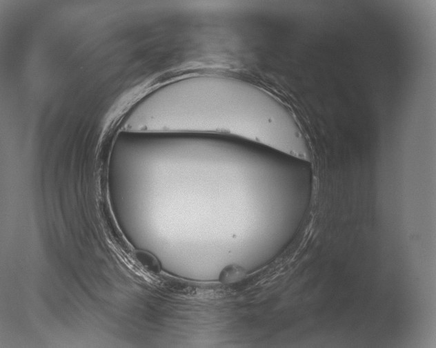 X0000077370149200610201023