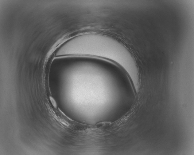 X0000077370150200610201023