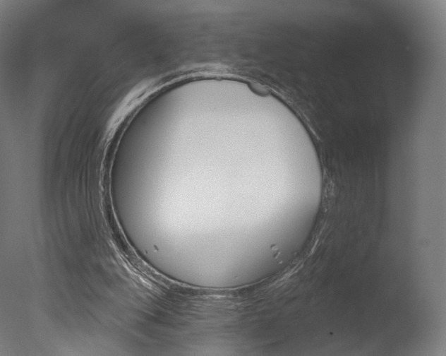 X0000077370151200610201023