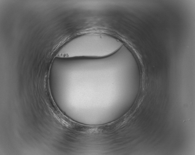 X0000077370153200610201023