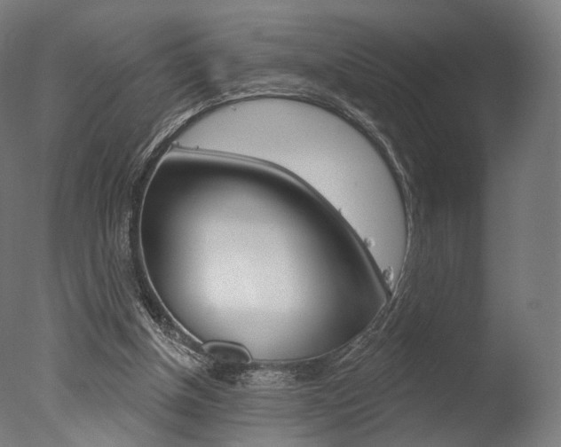 X0000077370154200610201023