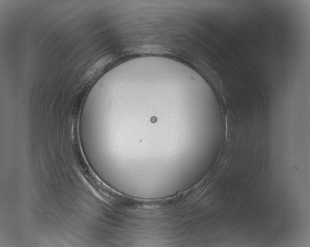 X0000077370157200610201023