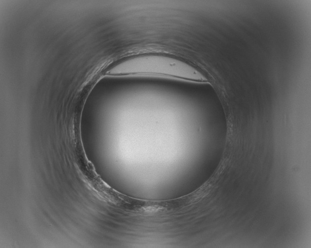 X0000077370158200610201023