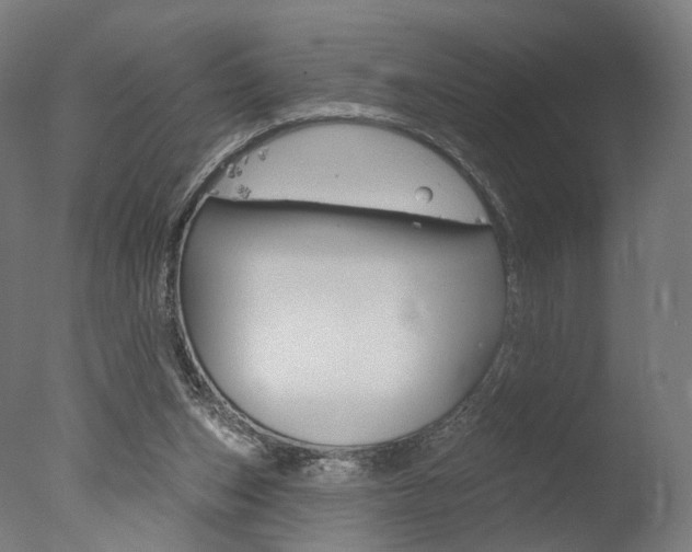 X0000077370159200610201023