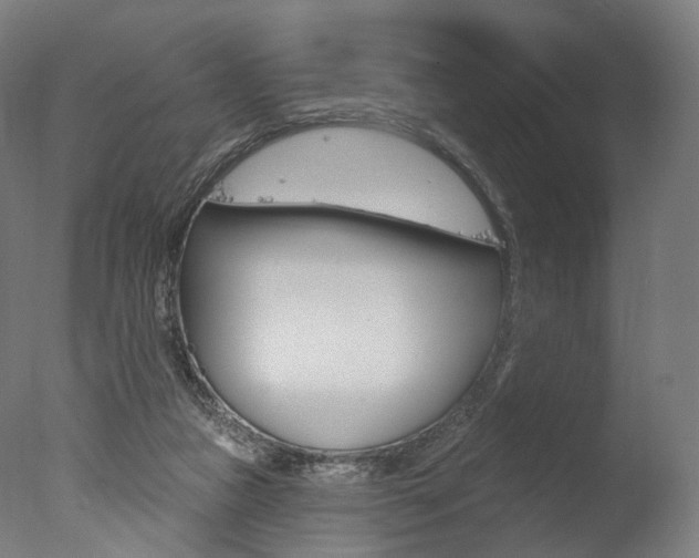 X0000077370161200610201023