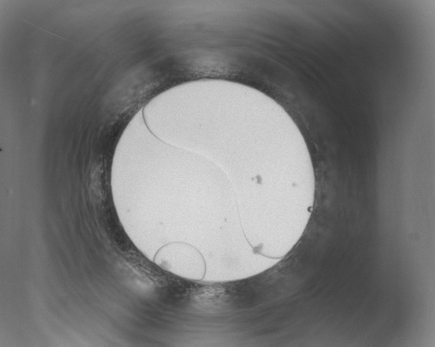 X0000077370162200610201023