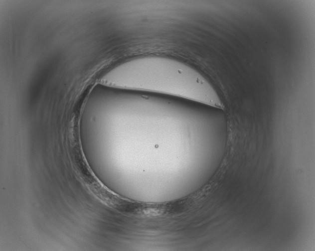 X0000077370163200610201023