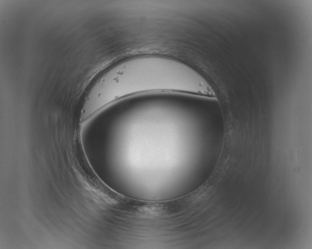 X0000077370164200610201023