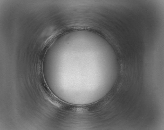 X0000077370165200610201023