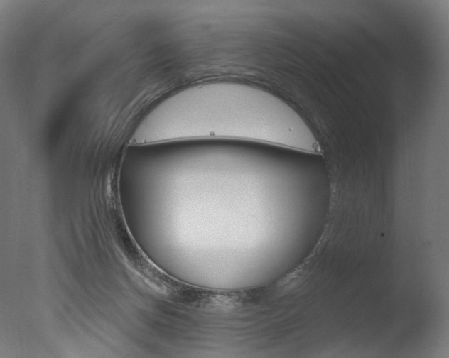 X0000077370166200610201023