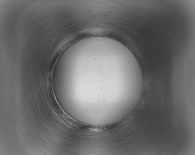 X0000077370167200610201023