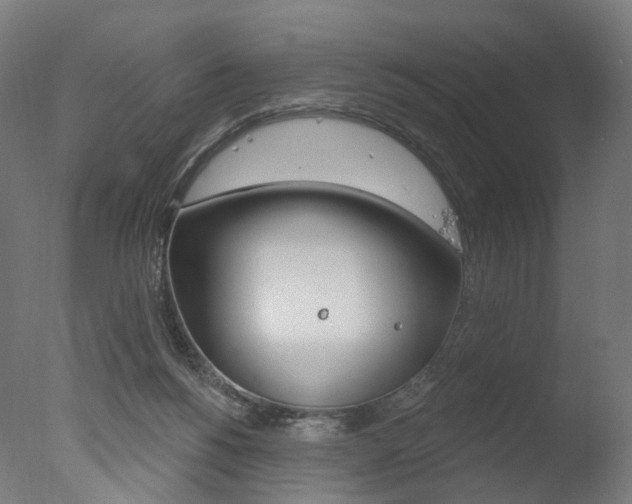 X0000077370168200610201023