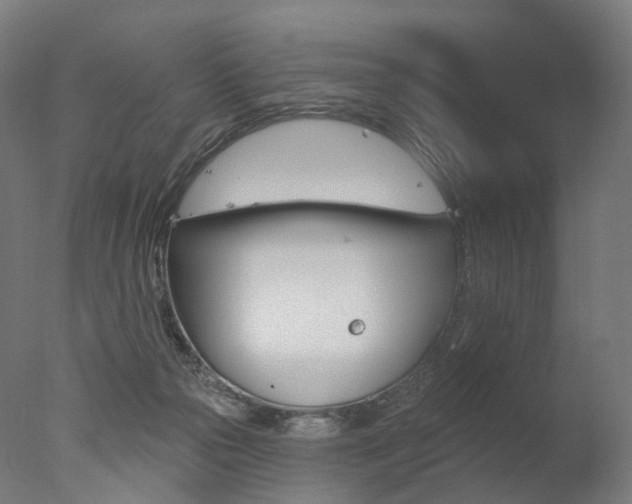 X0000077370169200610201023