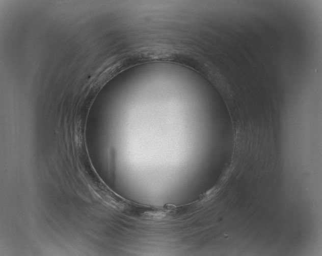 X0000077370170200610201023