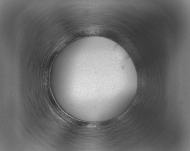 X0000077370171200610201023