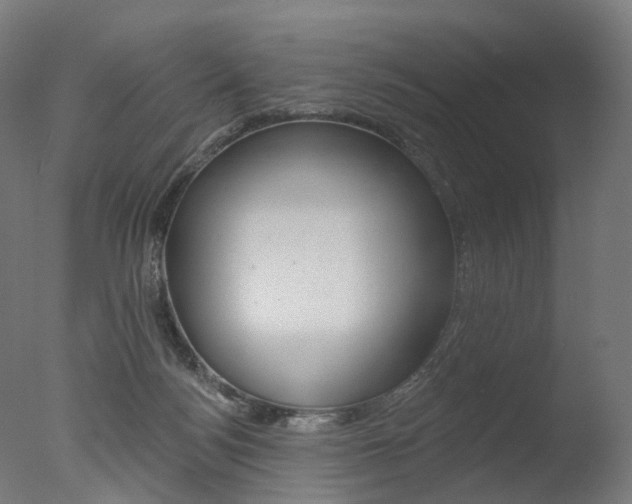 X0000077370172200610201023