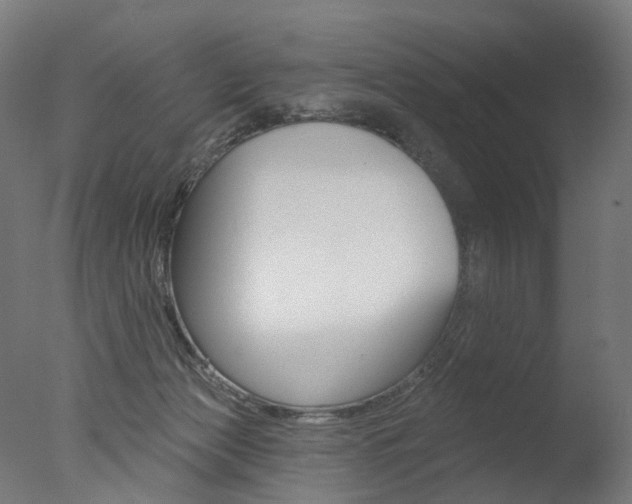 X0000077370173200610201023