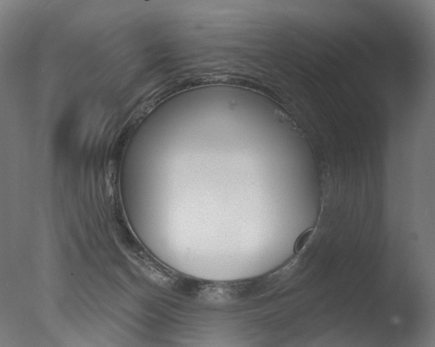 X0000077370174200610201023