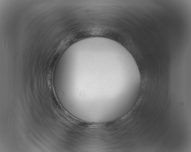 X0000077370175200610201023