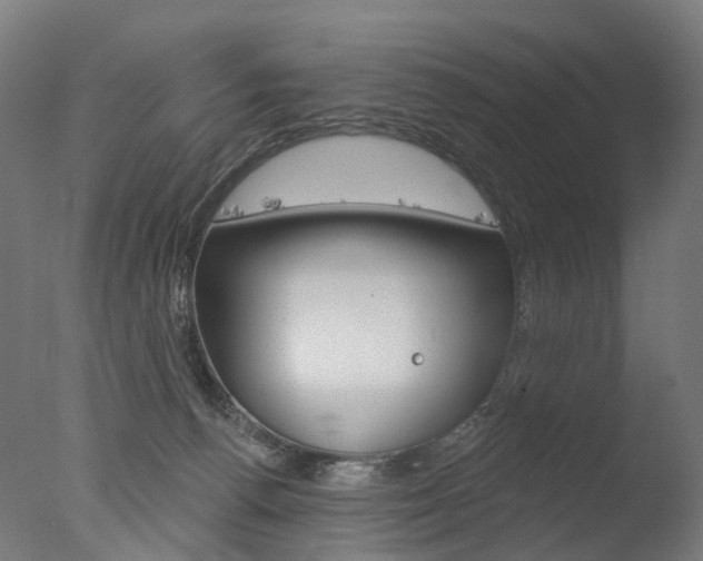 X0000077370176200610201023