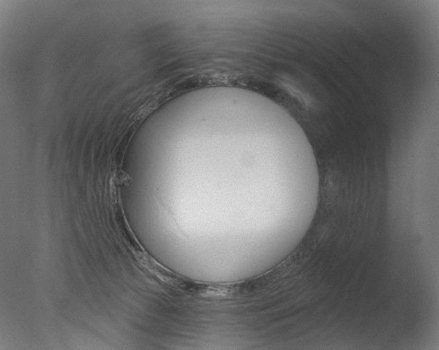 X0000077370177200610201024