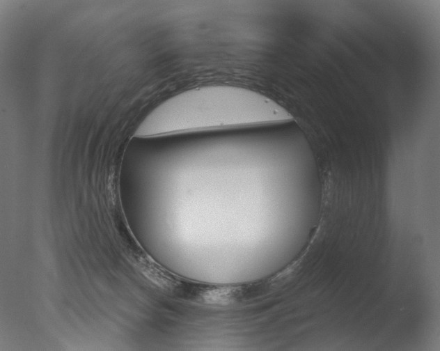 X0000077370178200610201024