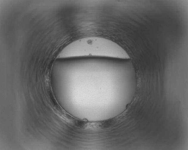 X0000077370179200610201024