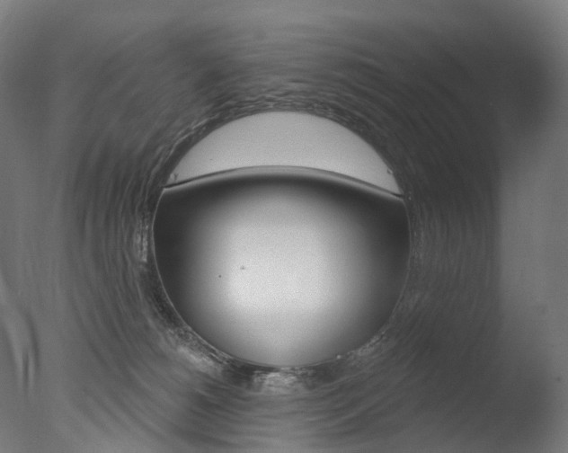 X0000077370180200610201024