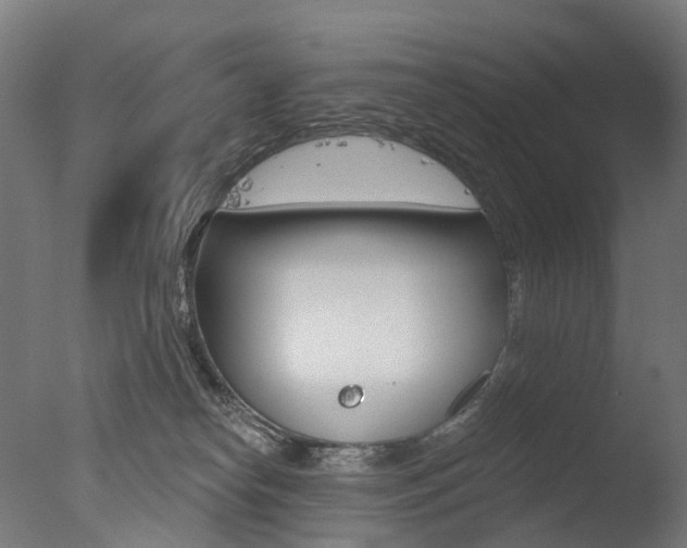 X0000077370182200610201024