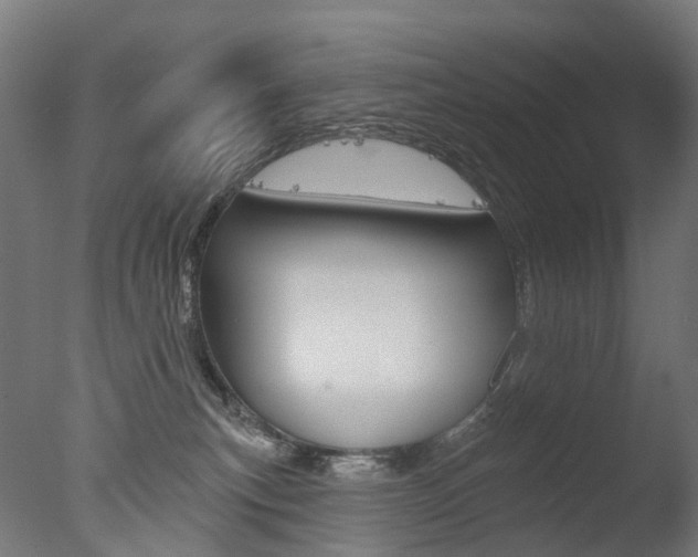 X0000077370183200610201024