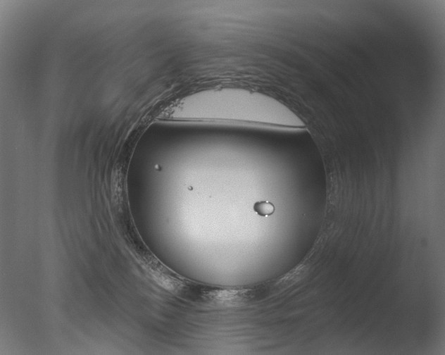 X0000077370184200610201024